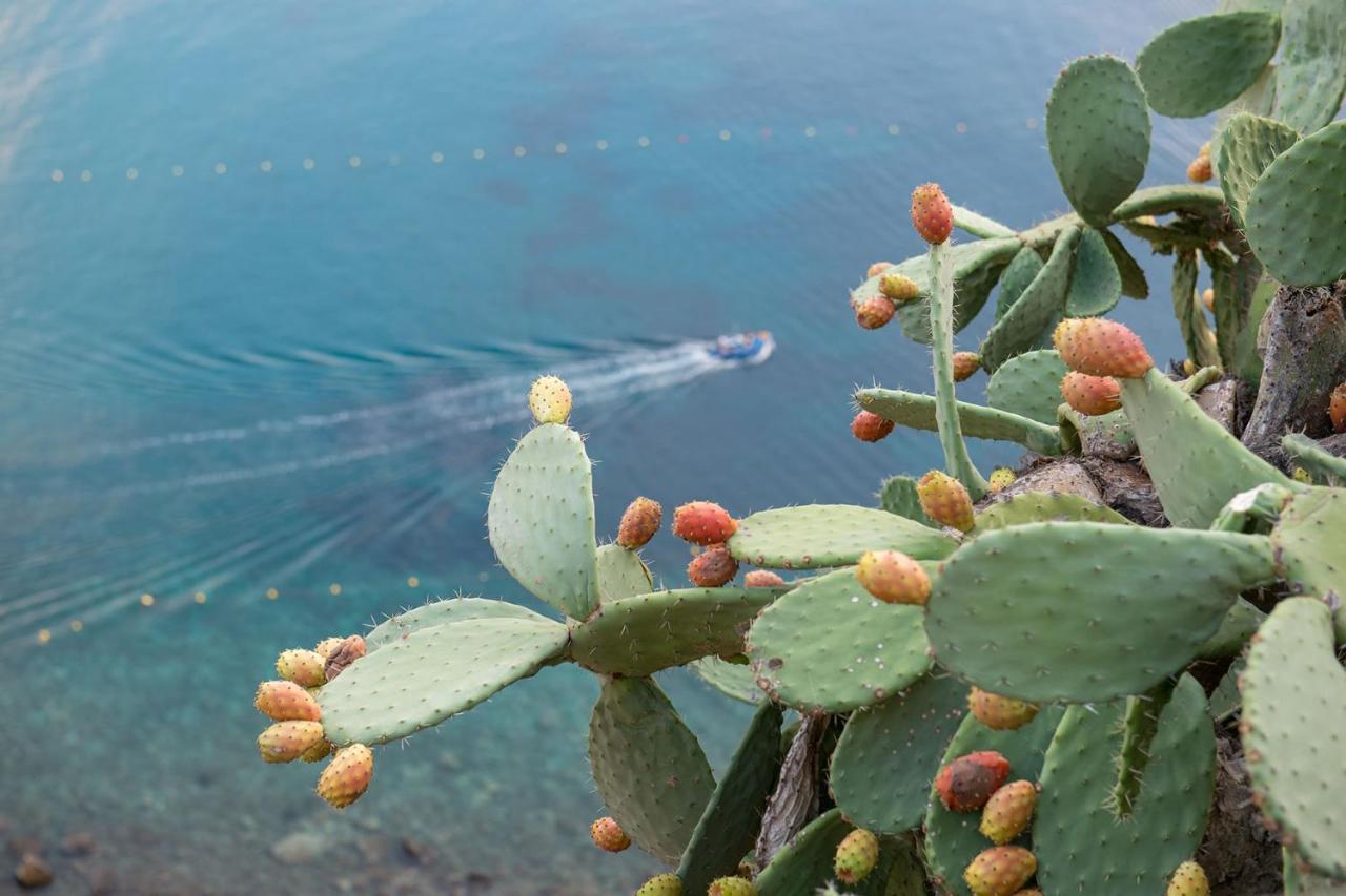 Manzoni Elements Bed and Breakfast Milazzo Buitenkant foto